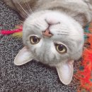 오마이피시방 이미지