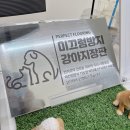 애니멀 살롱 이미지