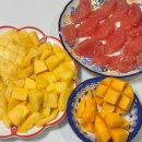 조아당구 | 역마살 가득한 날들이여