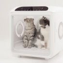 펫대디 | 저소음 강아지 고양이 드라이기, 라빌리 펫드라이룸 사용 후기