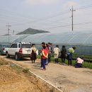 신농농장 이미지