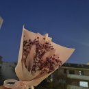 거제에서 만난 꽃의 매력, 플로레리아 🌸