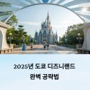 도쿄 디즈니랜드 완벽 공략: 티켓 구매부터 동선까지 (2025년 최신판)