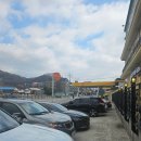 양평흑염소농장 이미지