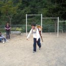 와석초교 이미지