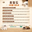 마교리 야외운동기구 | 이천 애견 동반 찜질방 '휴일도' 아쉬웠던 내돈 내산 후기