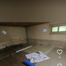 ★2월28일(토)~3월1일(일) 양평 힐링캠프(1박2일) 이미지