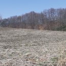 미더스공인중개사사무소 이미지