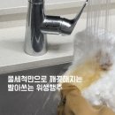 행주성 | 빨아쓰는행주 센스있는신혼집들이 선물 리안키친 추천