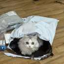 해바라기 노래연습장 이미지