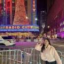 6번가모텔 | [뉴욕/칸쿤 신혼여행] 타임스퀘어 5분컷 숙소 후기 '더 맨해튼 앳 타임스퀘어'(feat.벨보이 팁)