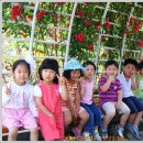 장미동산(우) 이미지