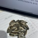 도스마스한림대점 이미지