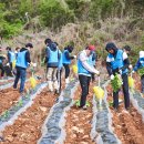 (주)케이티앤지 김천공장 이미지