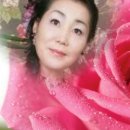대웅음반