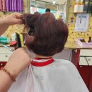 백조미용실 이미지