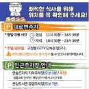 분당 정자동 맛집, 13년째 한결같은 '스시생선가게', 우리 동네 숨은 고수의 품격