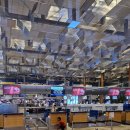 Changi Airport) 이용 꿀팁/터미널 3 아시아나 항공 얼리 체크인(Early Check-in) 카운터 이용후기