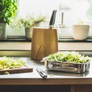 장안한의원 이미지