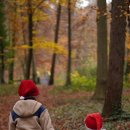 인지심리학 이미지