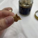 그린파워푸드
