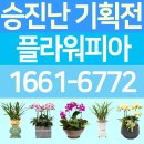 플라워피아 - 의정부시 평화로 363 | 플라워피아