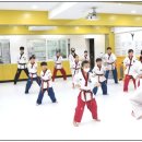 국가대표 어울림 태권도 이미지