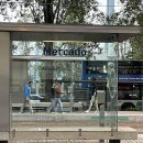 카페브라질포남점 | 별 볼일 없는 포남(포르투 해안길 1,2일)