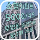 일성in4 이미지
