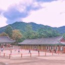 달의정원 이미지