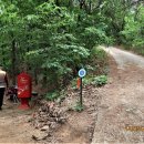 우면산3-21 이미지