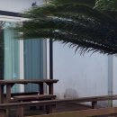 글라 애월 | 제주도 애월 감성숙소 글라애월에서의 특별한 힐링 여행