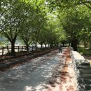 영주 신암리 마애여래삼존상 | <봉화군> 봉화 북지리 마애여래좌상(국보) – 신라시대 ‘한절’이 있었다는 절터 바위에 새긴 불상과...