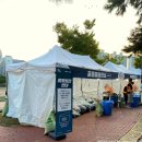 온천천일대4 | 2025 부산 나이트 워크 :: 참가 솔직 후기