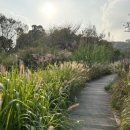 파아란공인중개사사무소 이미지