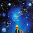 morning soft 이미지