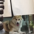 센몬텐 이미지