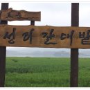 대진여행사 이미지