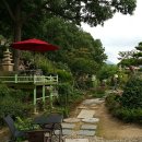 커피와소나무 이미지