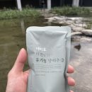 효식품 | 닥터효 양배추즙 솔직후기| 유기농·미세분쇄 공복 루틴템 (속편한 데일리 케어)