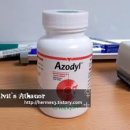 세인트동물병원 이미지