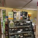 6-317 TS | [태국/방콕맛집] TS Cuisine #현지가정식맛집 #푸팟퐁커리 #깔끔,가성비최고