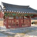 영천 보성리 암각화 이미지