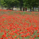 반구대 편백하우스 이미지
