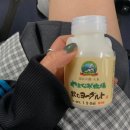 호흥 | 후쿠오카 유후인 버스투어 추천 '유유투어' 내돈내산 예약방법 (+점심)