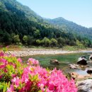 송화 펜션 이미지