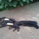 지장리경로당 이미지