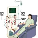 이틀에 한 번 학교에 간다 / 살아 있다는 것 이미지