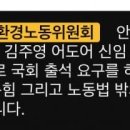 어도어 김주영 국감 출석 한대 뉴진스 하니 참고인으로 출석함 이미지