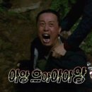 곤충하모니